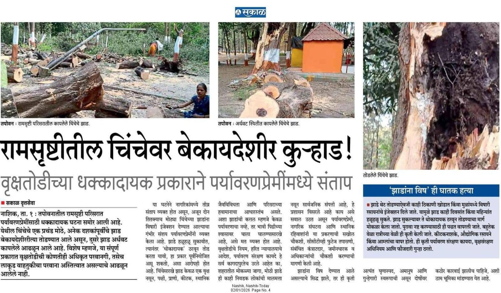 रामसृष्टीतील चिंचेवर बेकायदेशीर कुऱ्हाड!